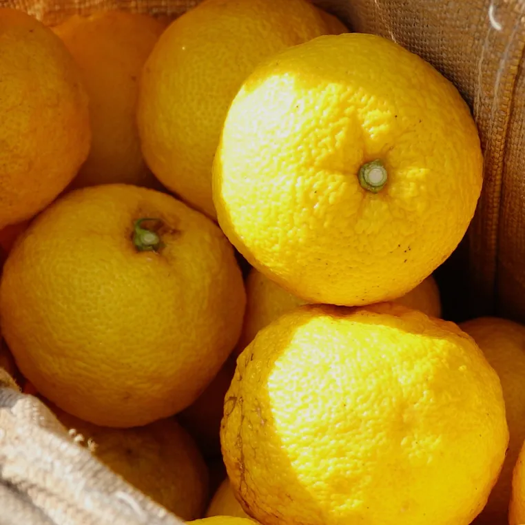 Gallery Image of Roku Gin