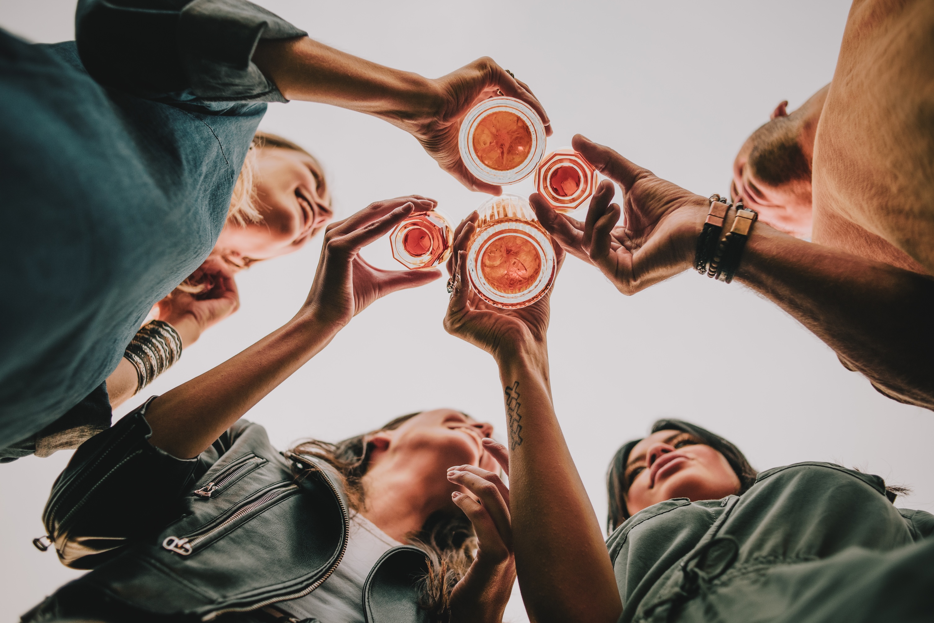 Gallery Image of Amaro Montenegro