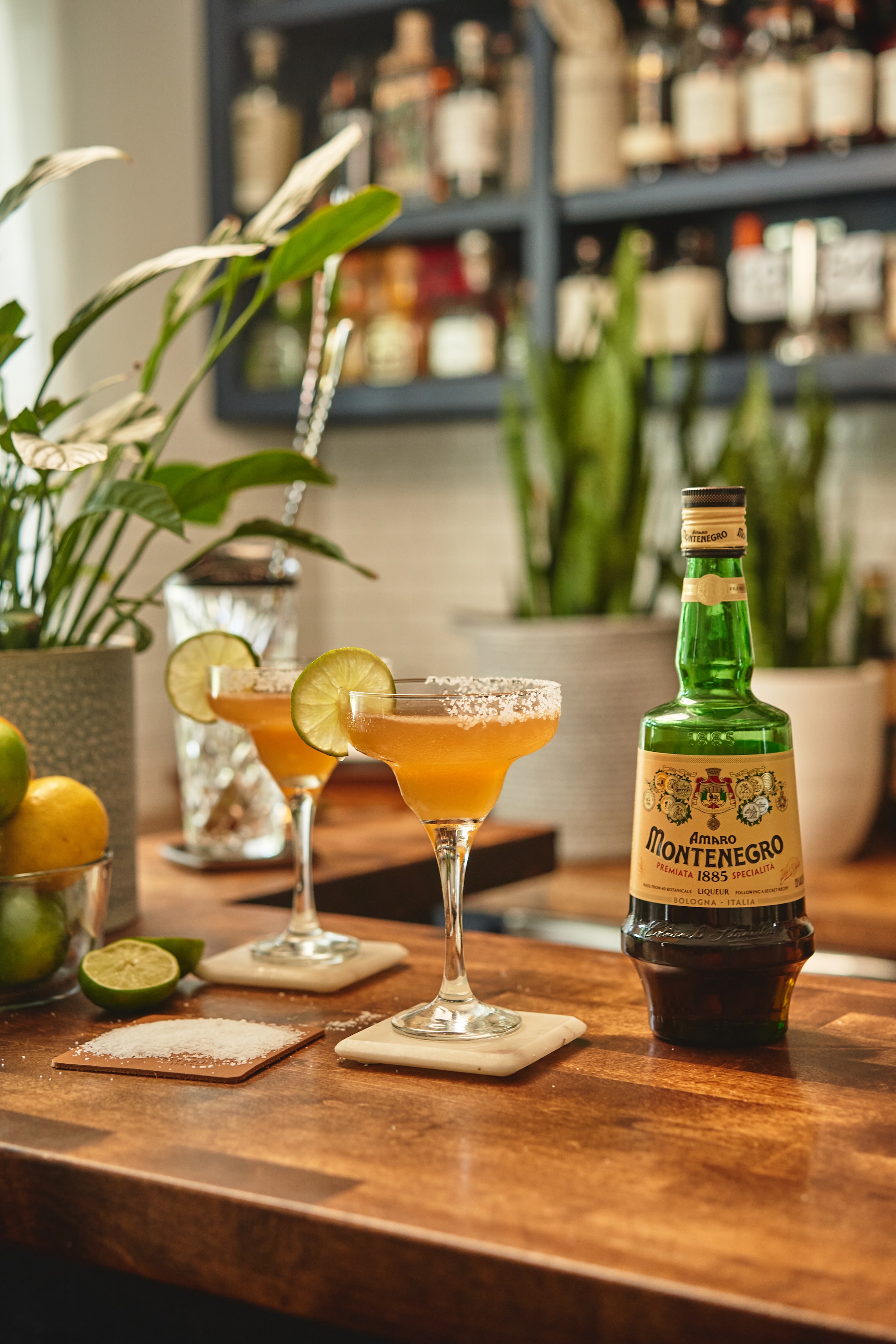 Gallery Image of Amaro Montenegro