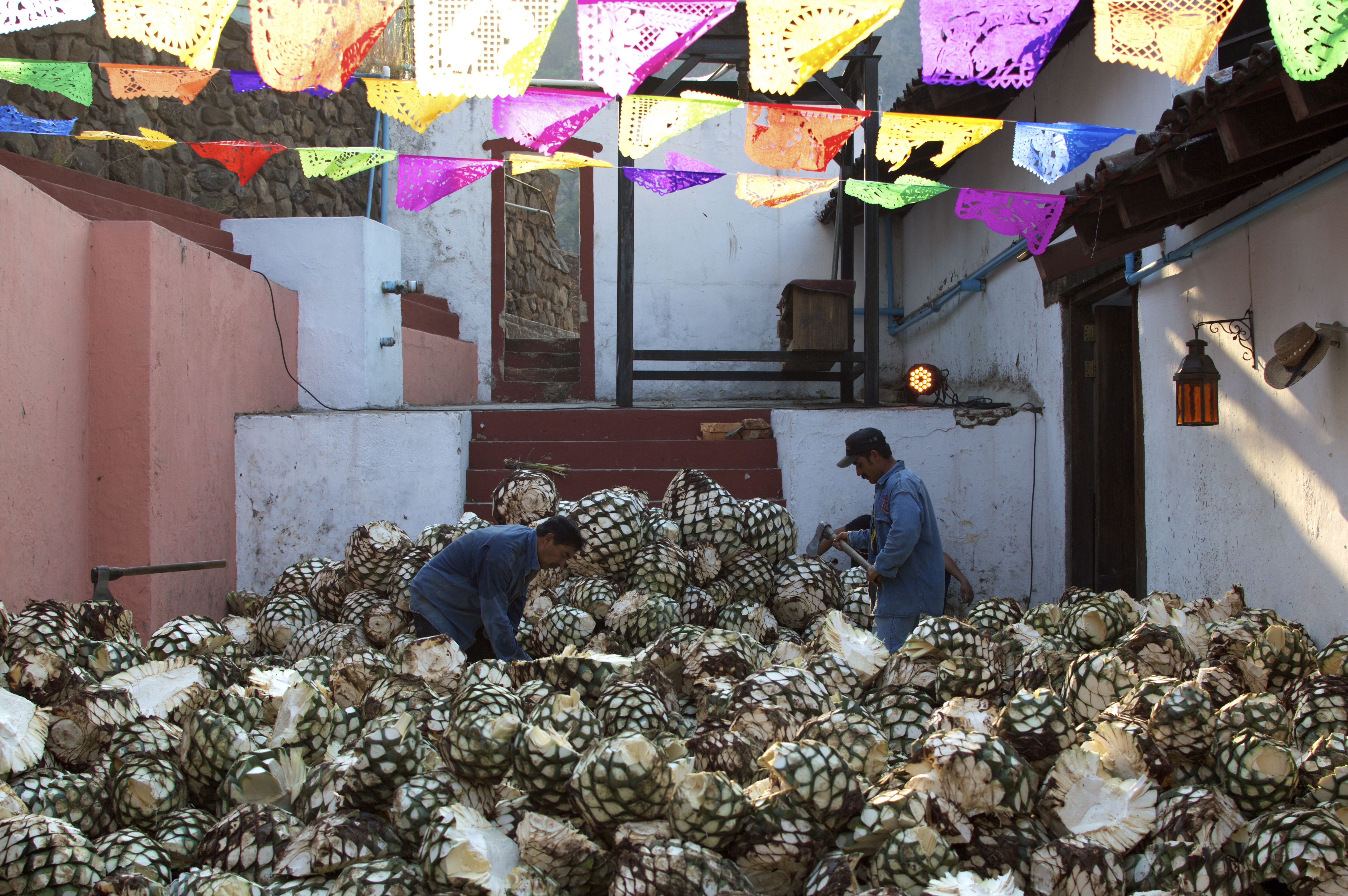 Gallery Image of Tequila Fortaleza Añejo