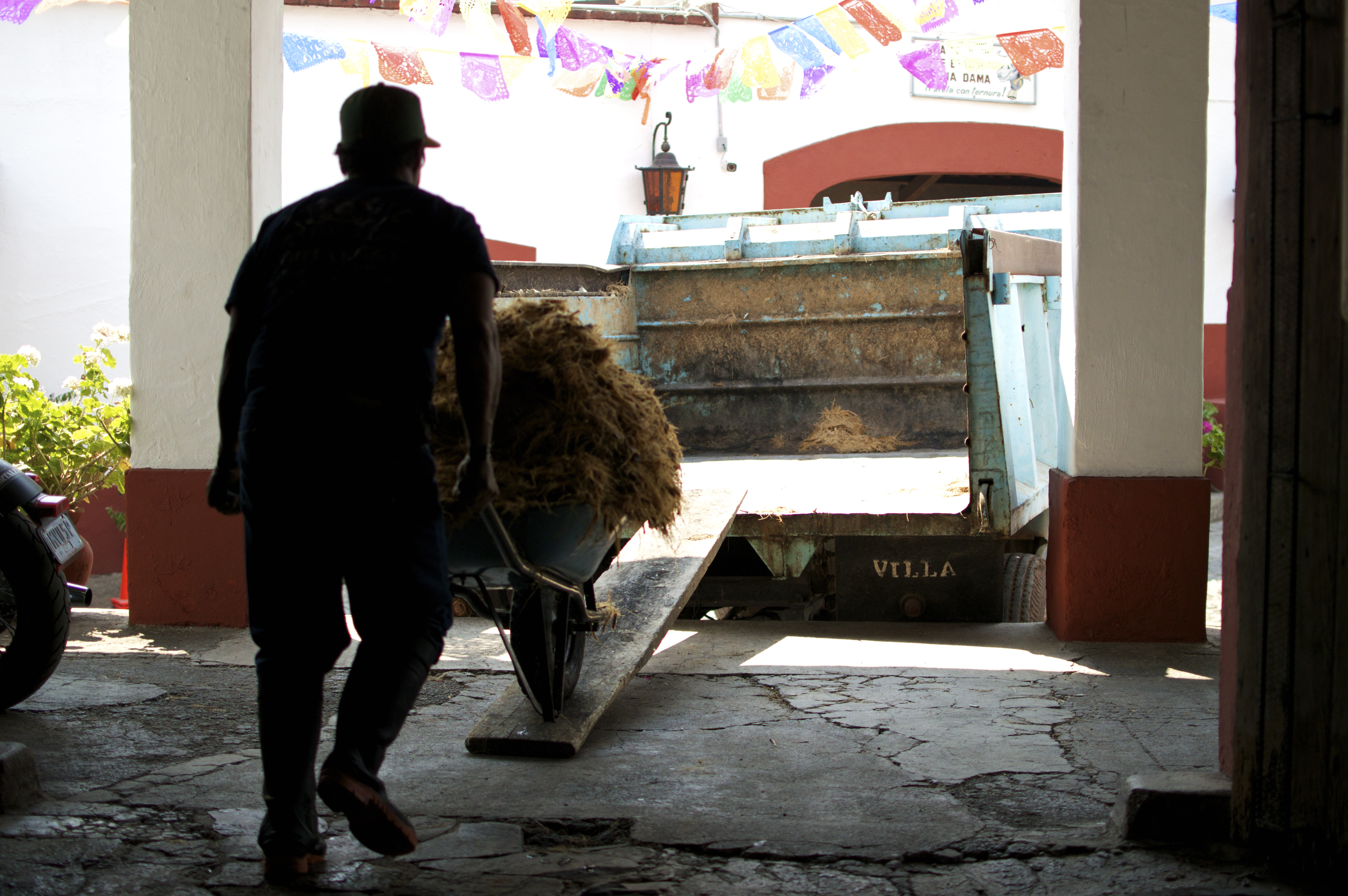 Gallery Image of Tequila Fortaleza Añejo