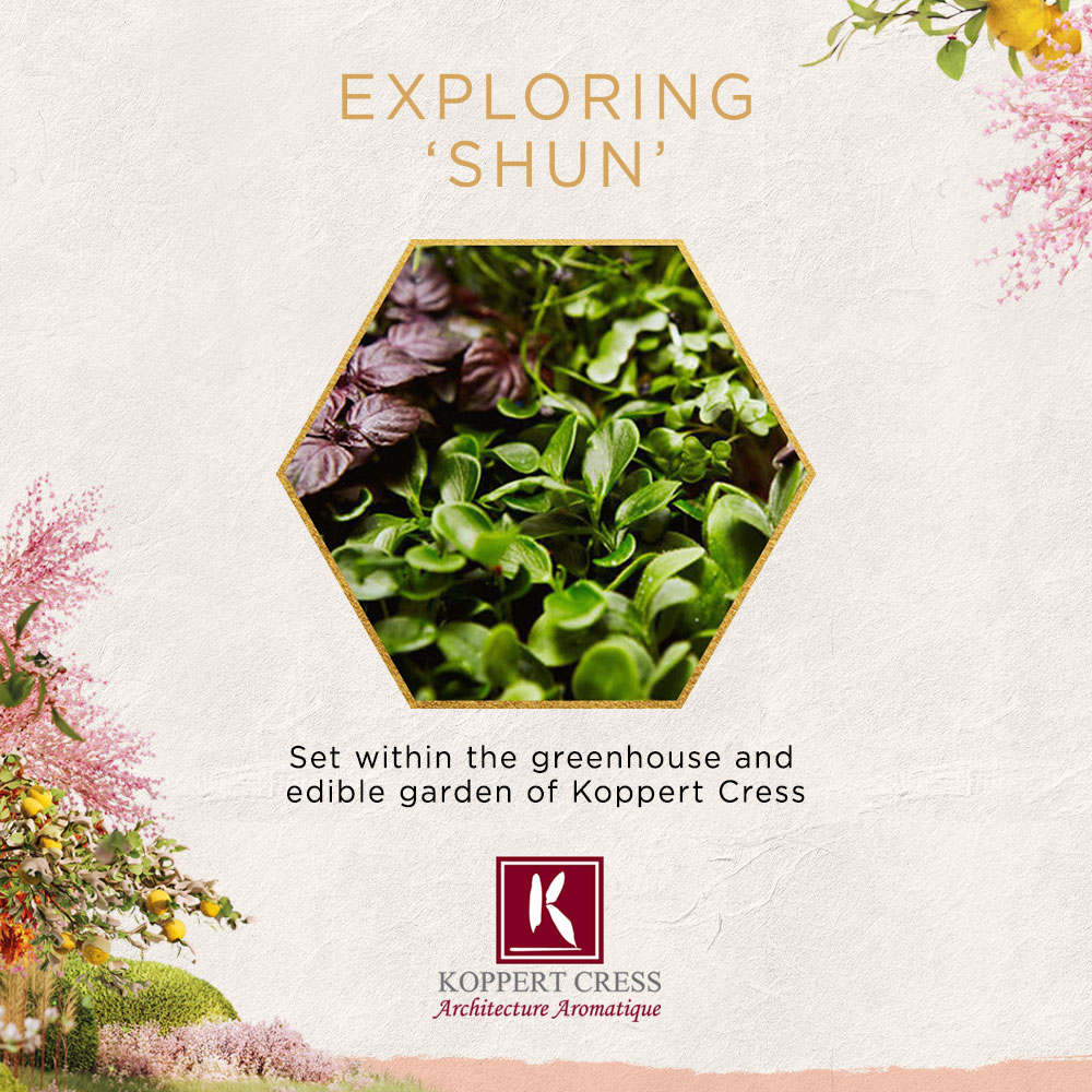 2260143-DK-Roku-Gin-Carroussel-Landingspagina-1000x1000px-v1-1