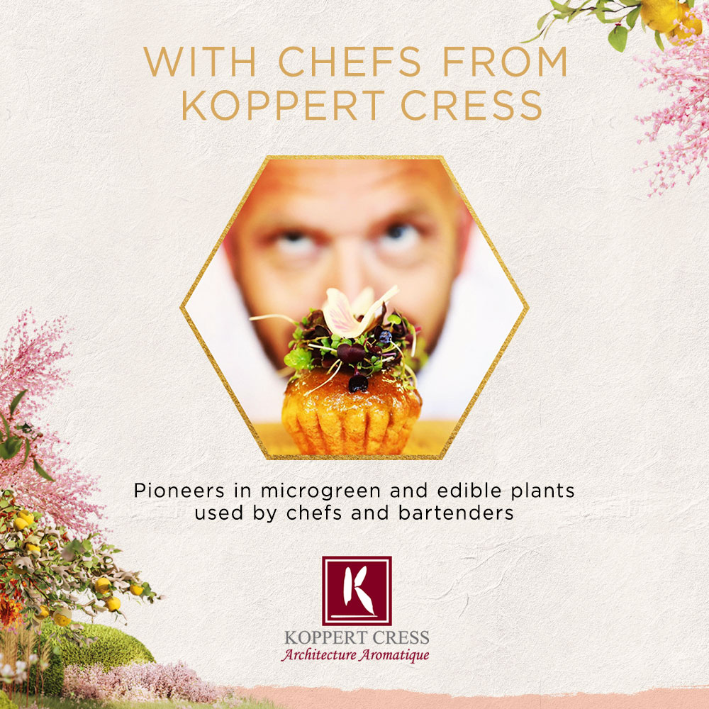 2260143-DK-Roku-Gin-Carroussel-Landingspagina-1000x1000px-v1-2